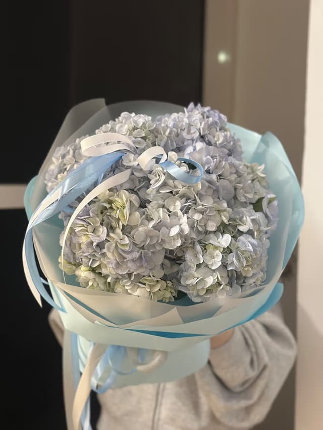 «Нежный водопад» — Гортензия