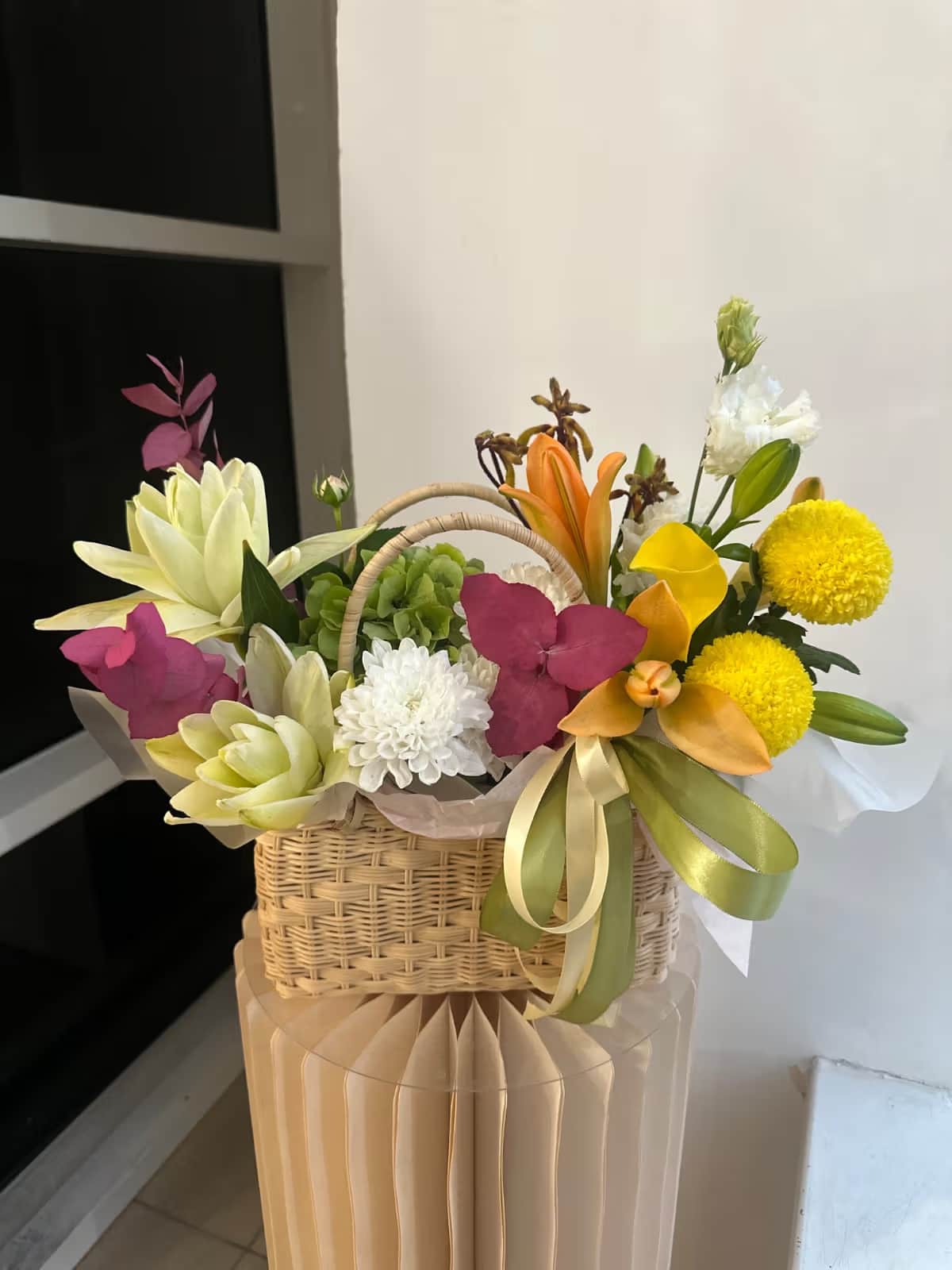 Sunny Delight — Hydrangea PREMIUM, Lily Asiatic